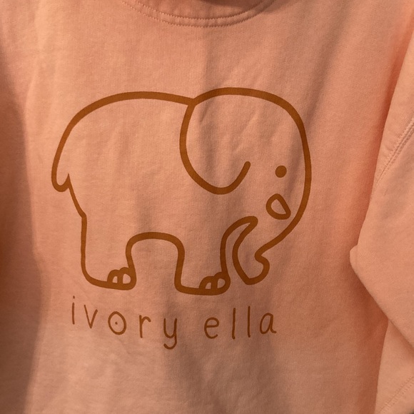 Ivory Ella multi color pullover sweatshirt - Picture 11 of 13